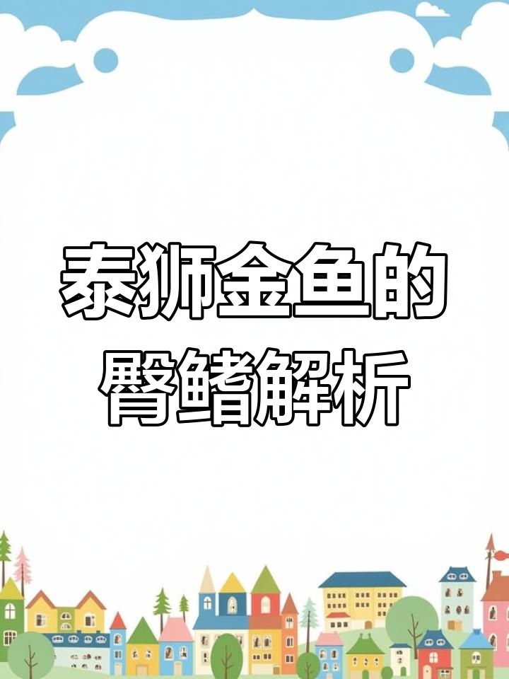 泰狮金鱼臀鳍问题:单双差异与品质无关