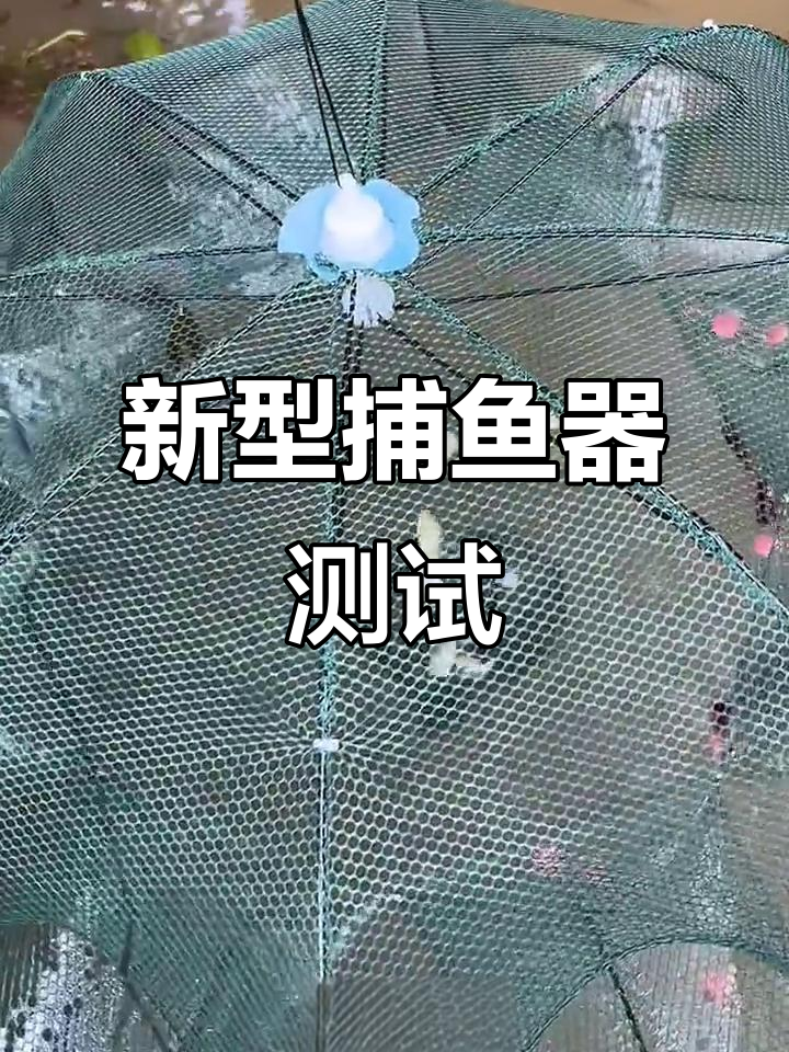 新型捕鱼神器大揭秘，雨伞式设计竟然能抓到虾！