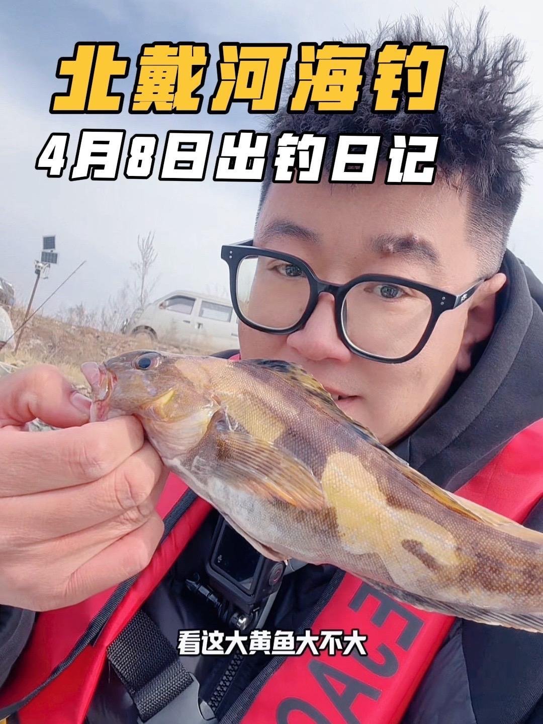 北戴河海钓4月8日出钓日记 北戴河大宝海钓,四月八日出钓海洋牧场,渔获不好真实记录 原来钓