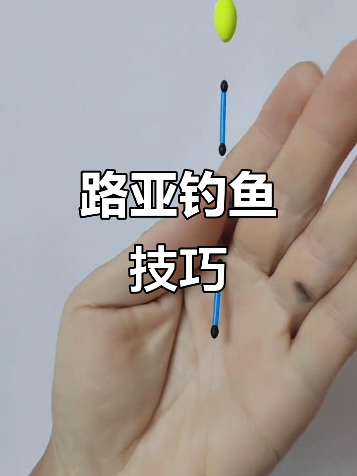 浮钓白条草鱼,底钓鲫鲤有诀窍,3个豆子轻松搞定!