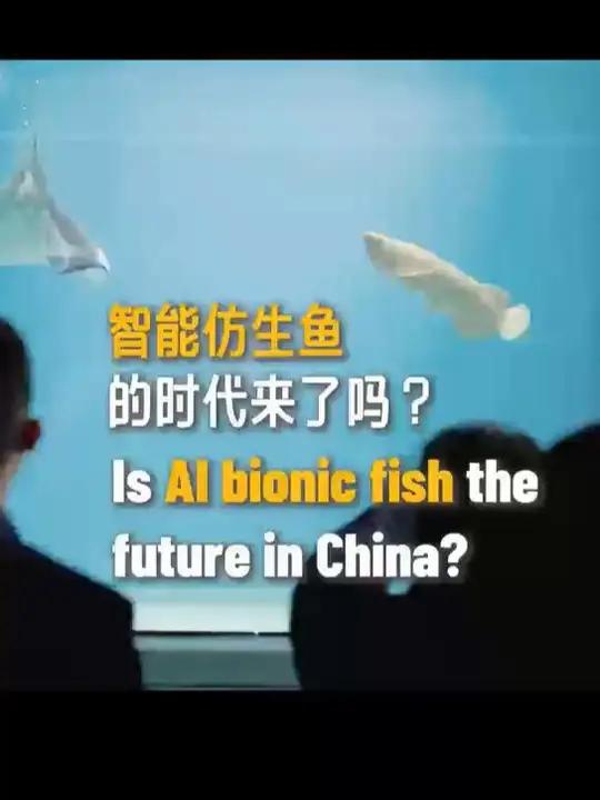 「看智能仿生鱼“金鳞”如何颠覆水族馆体验!」你能分辨哪条是真鱼吗?上海海洋大学最新研发的智