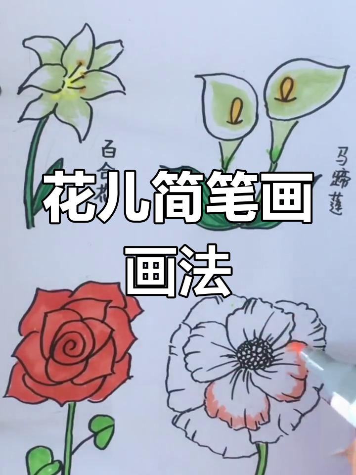 画花轻松又美观,百合、玫瑰等简笔画技巧大揭秘!