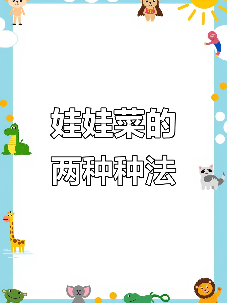 娃娃菜两种种植模式,直播与栽苗哪种更高效?