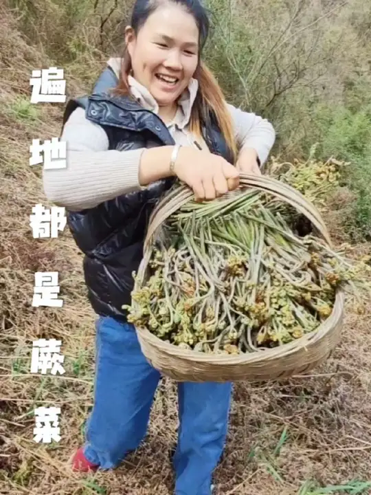 这种感觉太好了，采蕨菜竟比吃蕨菜还过瘾！