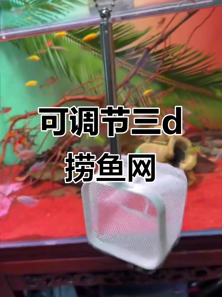 3D小鱼网轻松捞鱼,长度可调不惊吓