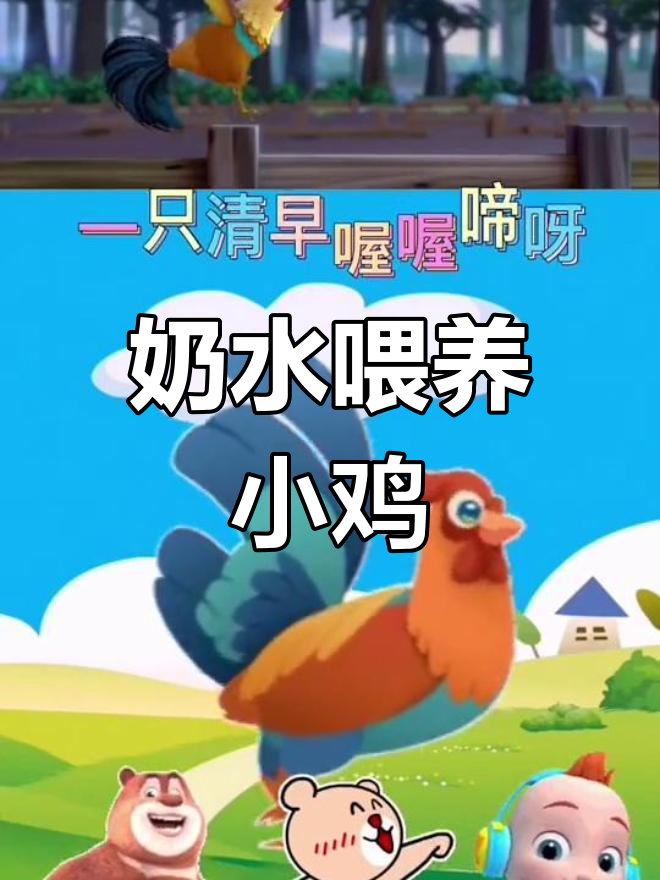 奶奶喂鸡,大公鸡和小母鸡
