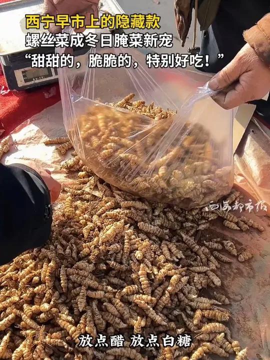 西宁早市上的隐藏款 螺丝菜成冬日腌菜新宠 “甜甜的,脆脆的,特别好吃!”