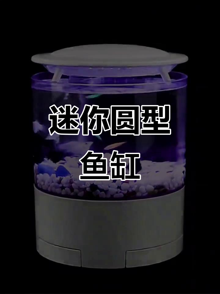 小巧圆形鱼缸,家居造景必备,底滤设计让水质更清新