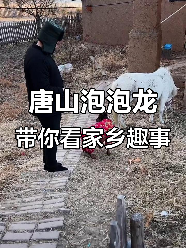 哈尔滨泡家村大舞台,唐山泡泡龙带你玩转土鸡蛋与搞笑互动