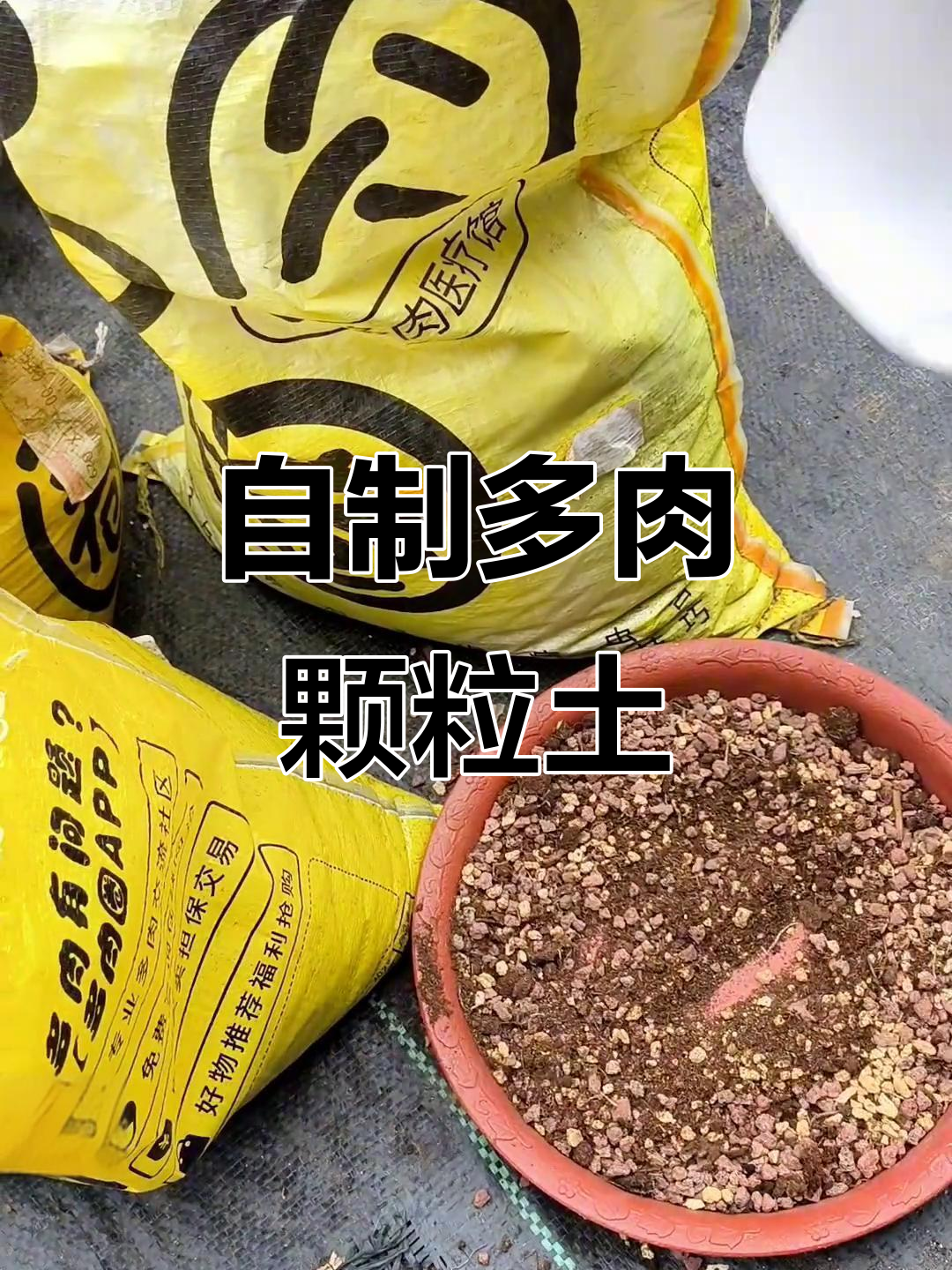 多肉植物颗粒土DIY配方,省钱又好用!