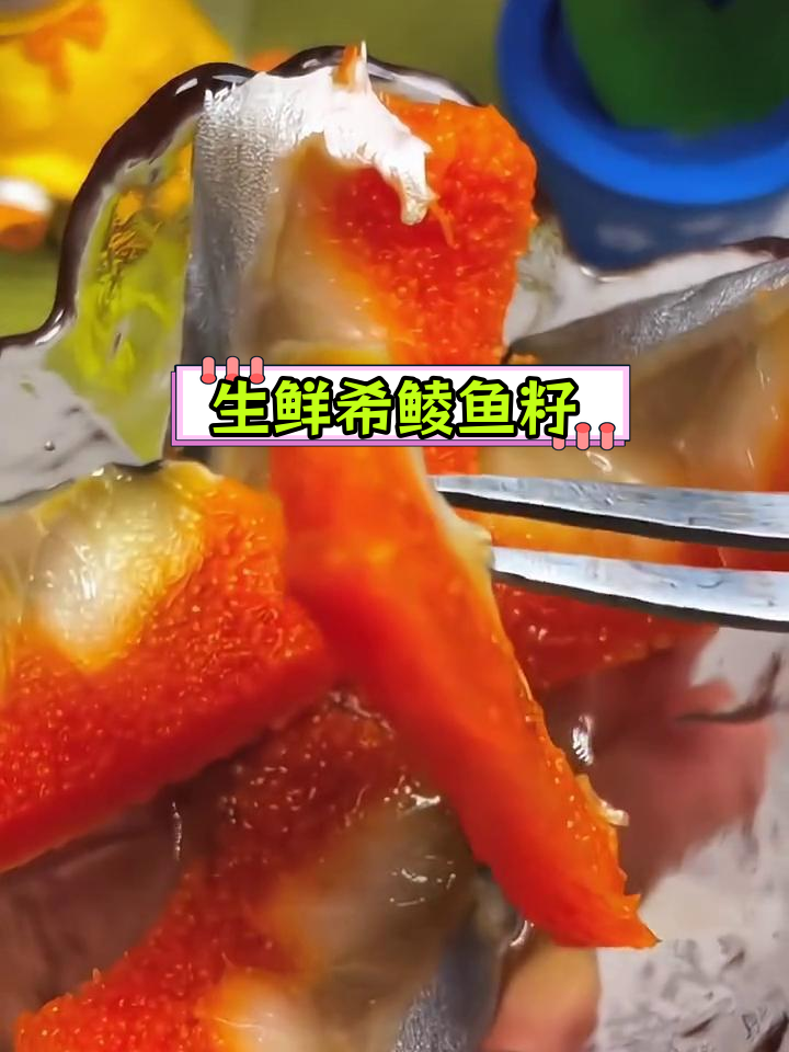 新鲜希鲮鱼籽,生吃更美味