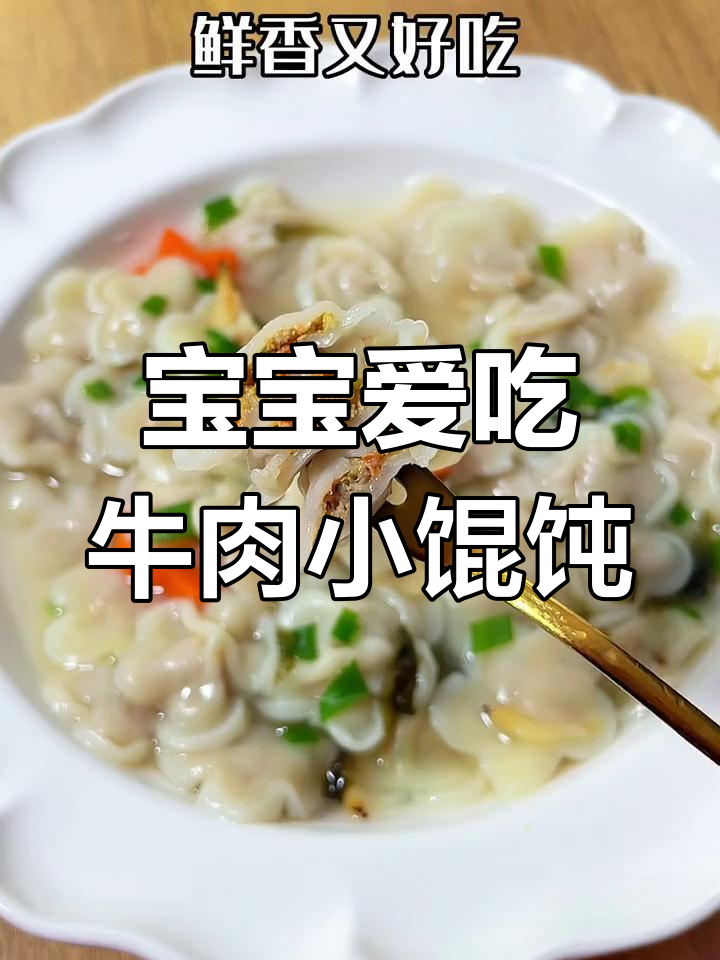 牛肉小馄饨,宝宝轻松一口一个