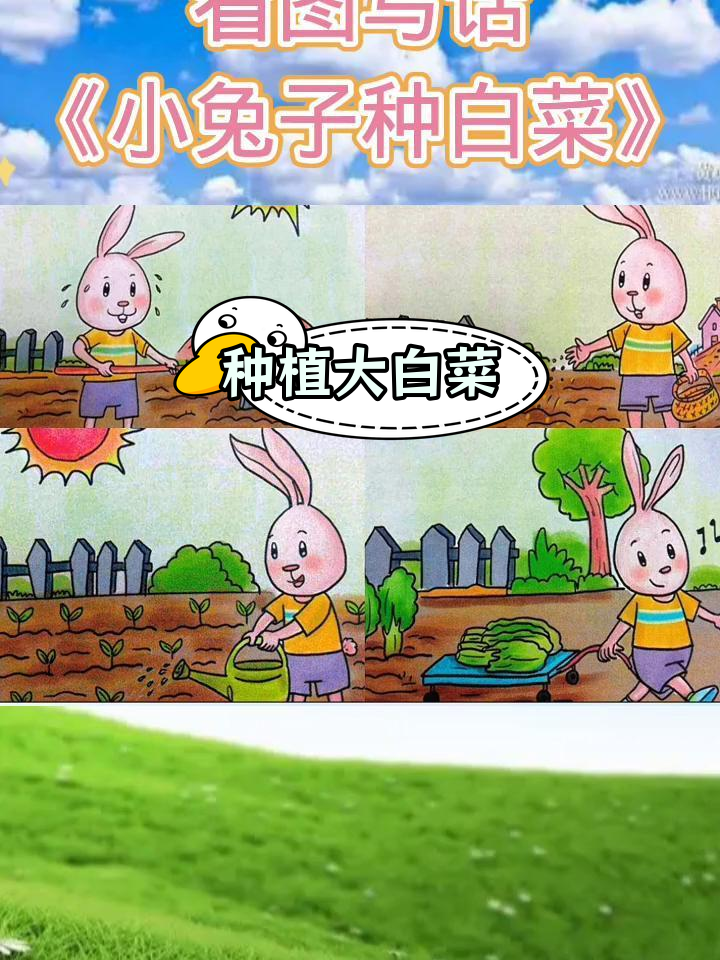 小兔子种菜记