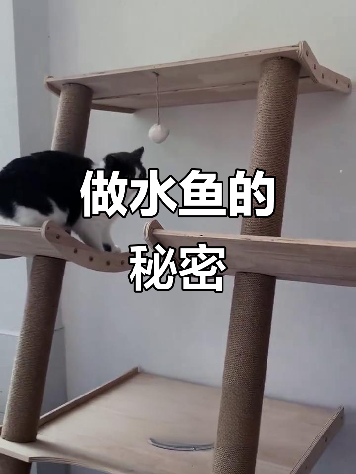 广东话“做水鱼”是什么意思?原来这么有趣!