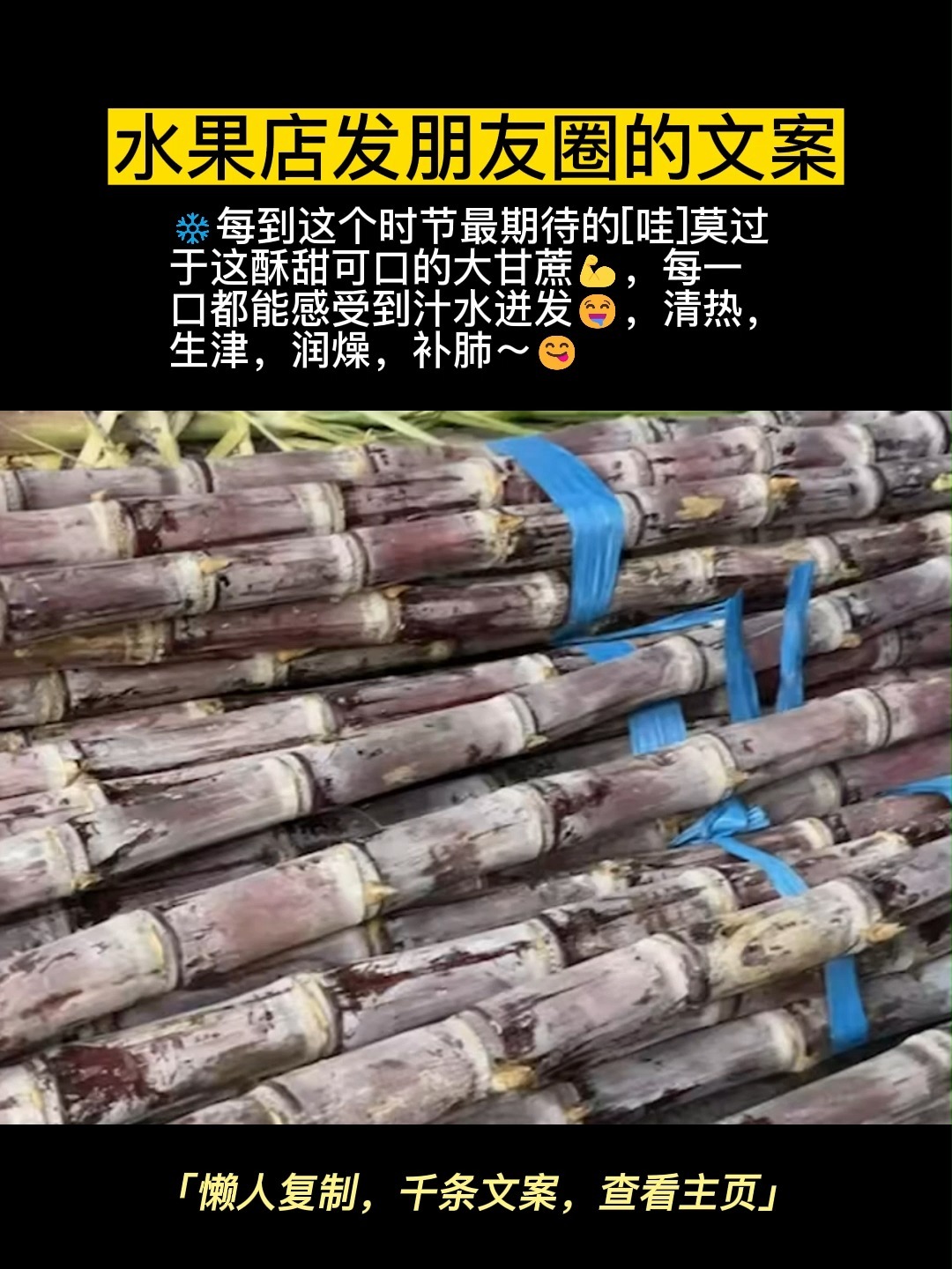 甘蔗文案,掌握这些水果文案轻松发朋友圈