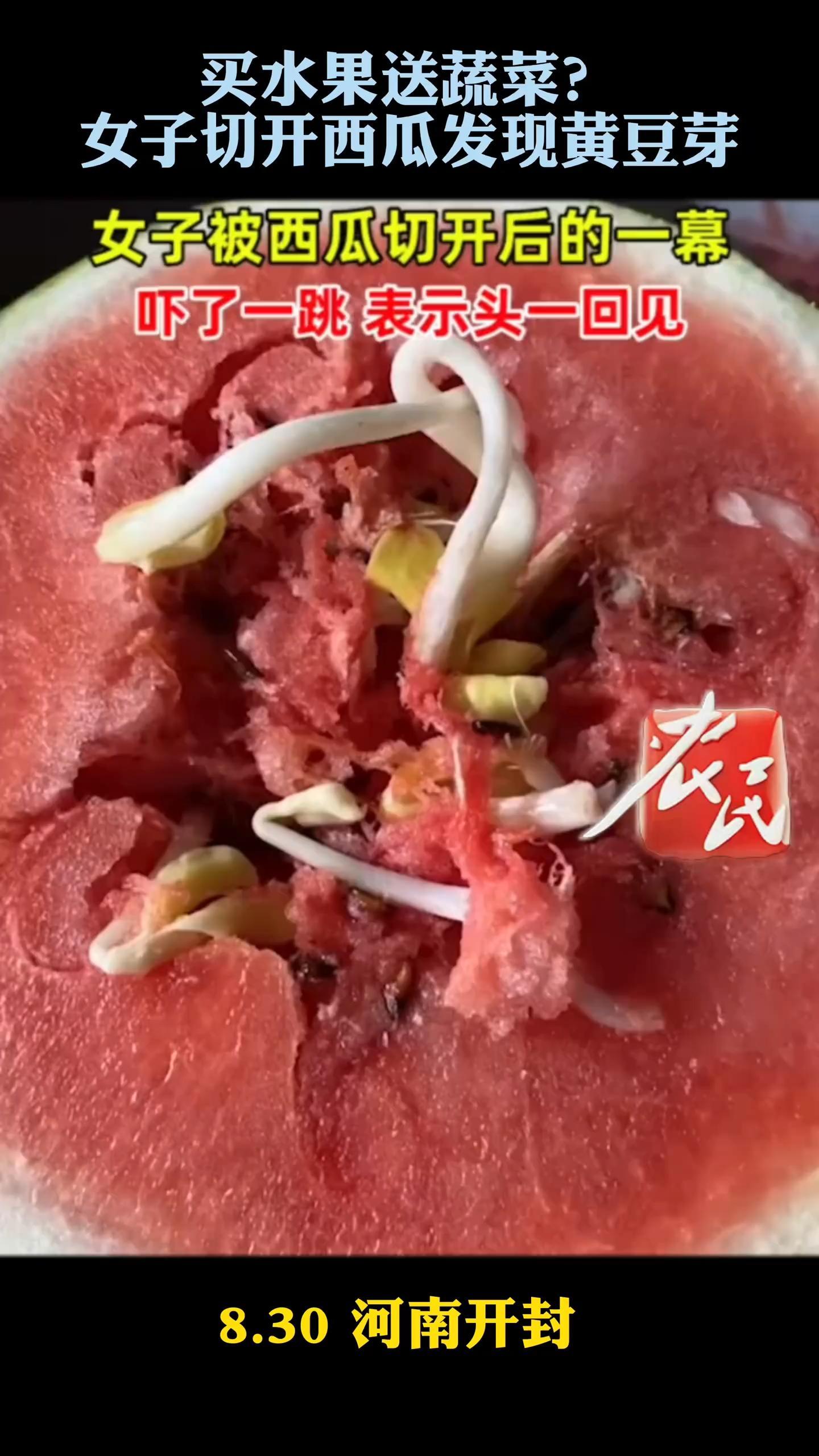 「买水果送蔬菜?女子切开西瓜发现黄豆芽」8月30日,河南开封,一女子被买回来的西瓜吓了一跳