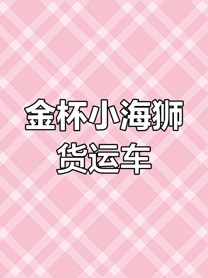 19年金杯小海狮封闭式面包货车,两万多块钱