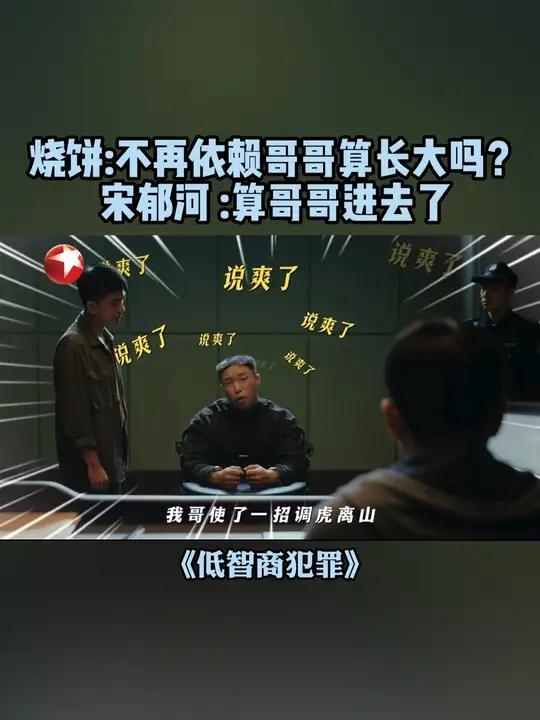 #东方卫视低智商犯罪 #低智商犯罪 超全作案细节尽在兄弟口中 #烧饼 #朱云峰 #宋郁河