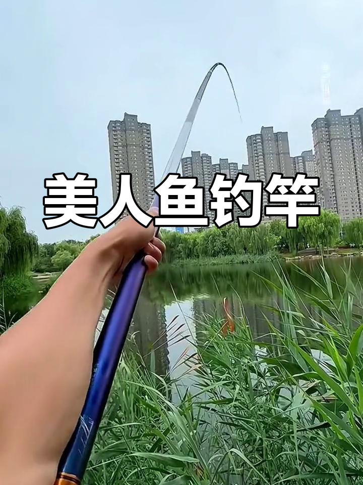 上海美人鱼竿,轻巧耐用,小鱼大鱼都能轻松应对