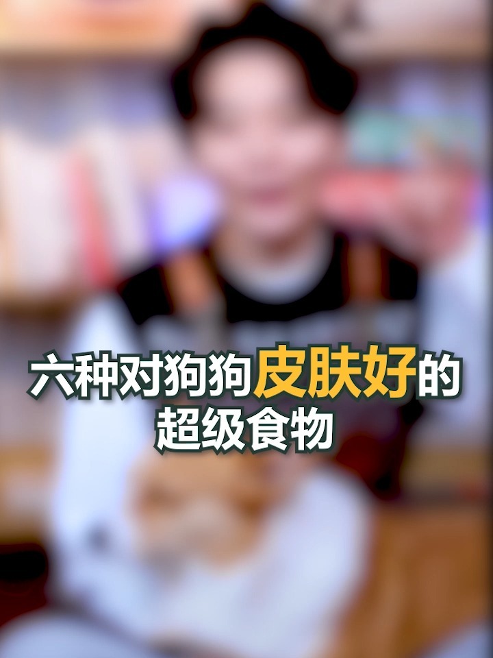 六种对狗狗皮肤好的超级食物,养狗人快牢记