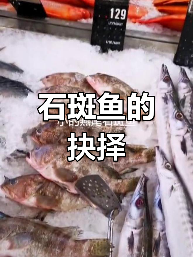 两条石斑鱼,红烧还是盐煎?