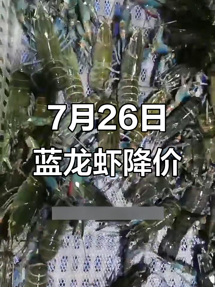 广东蓝龙虾价格波动,市场机遇与挑战并存