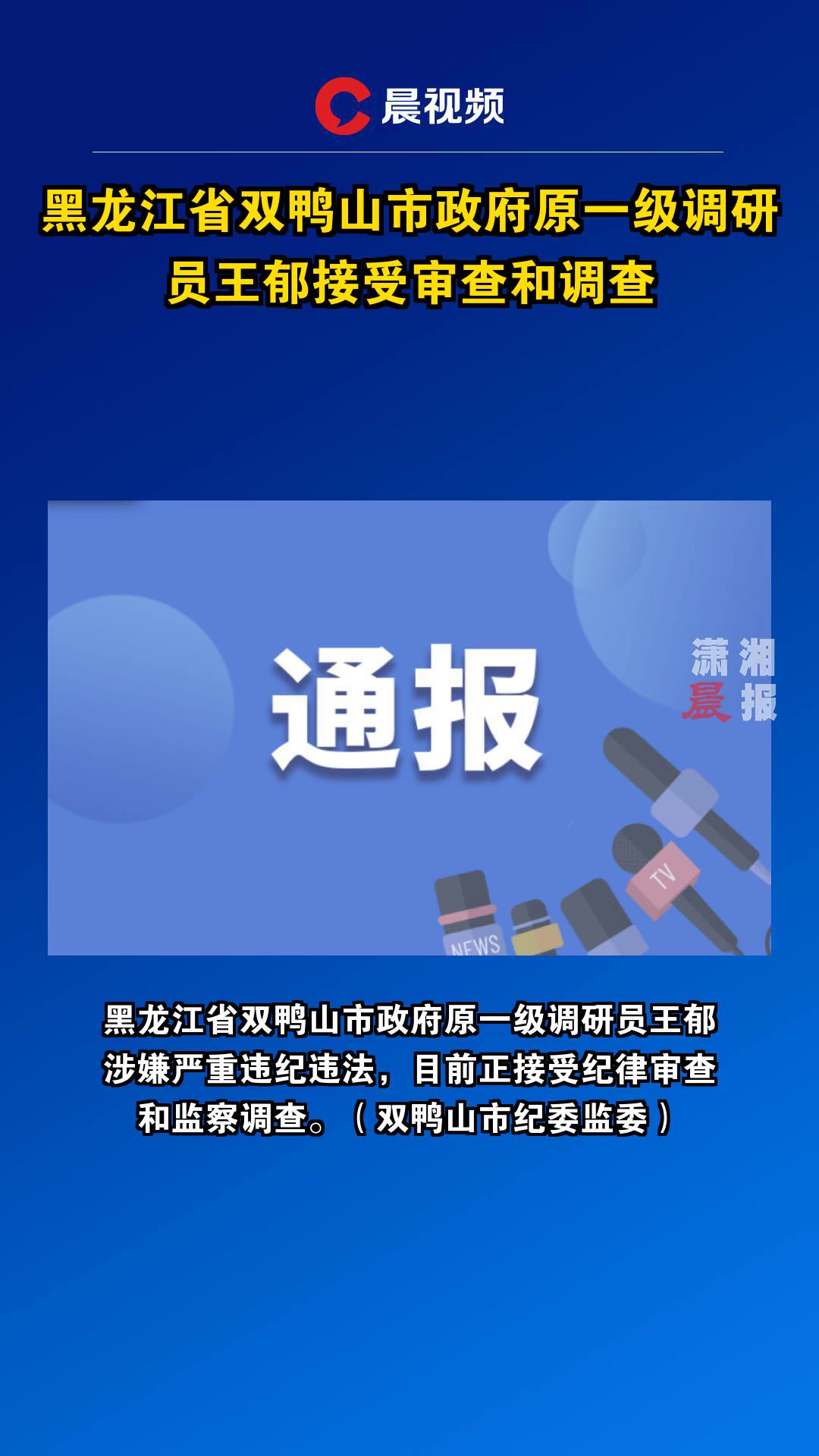 黑龙江省双鸭山市政府原一级调研员王郁接受审查和调查
