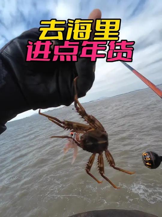 快过年了,要钓点鱼带回去啊,今天去海里进点货