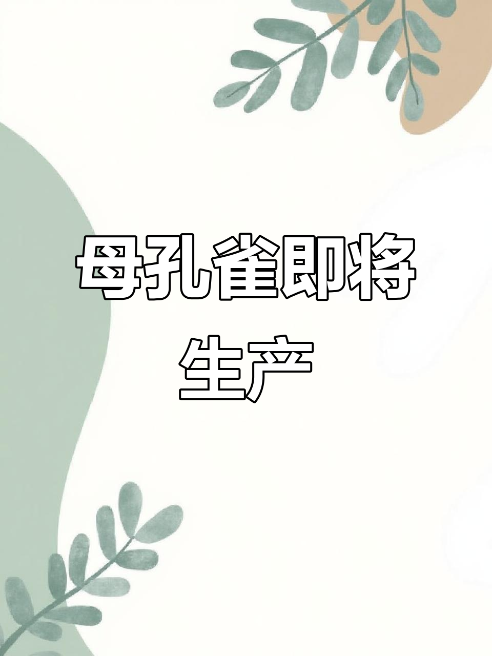 孔雀鱼快生了,肚子已经方方正正的!