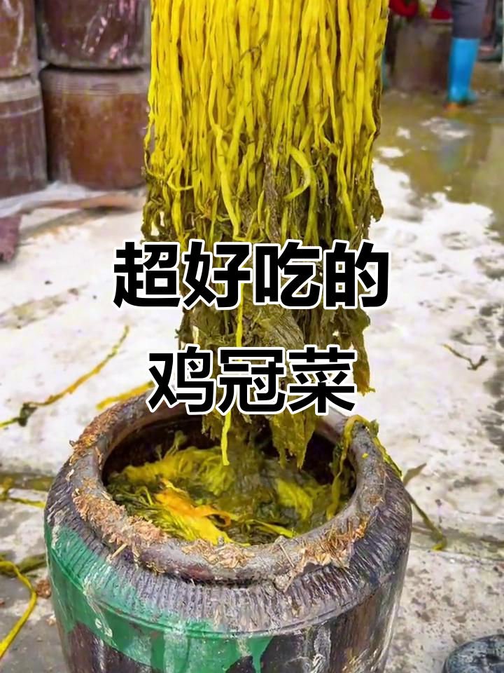 鸡冠菜新鲜开坛，咸香脆嫩，下饭必备！