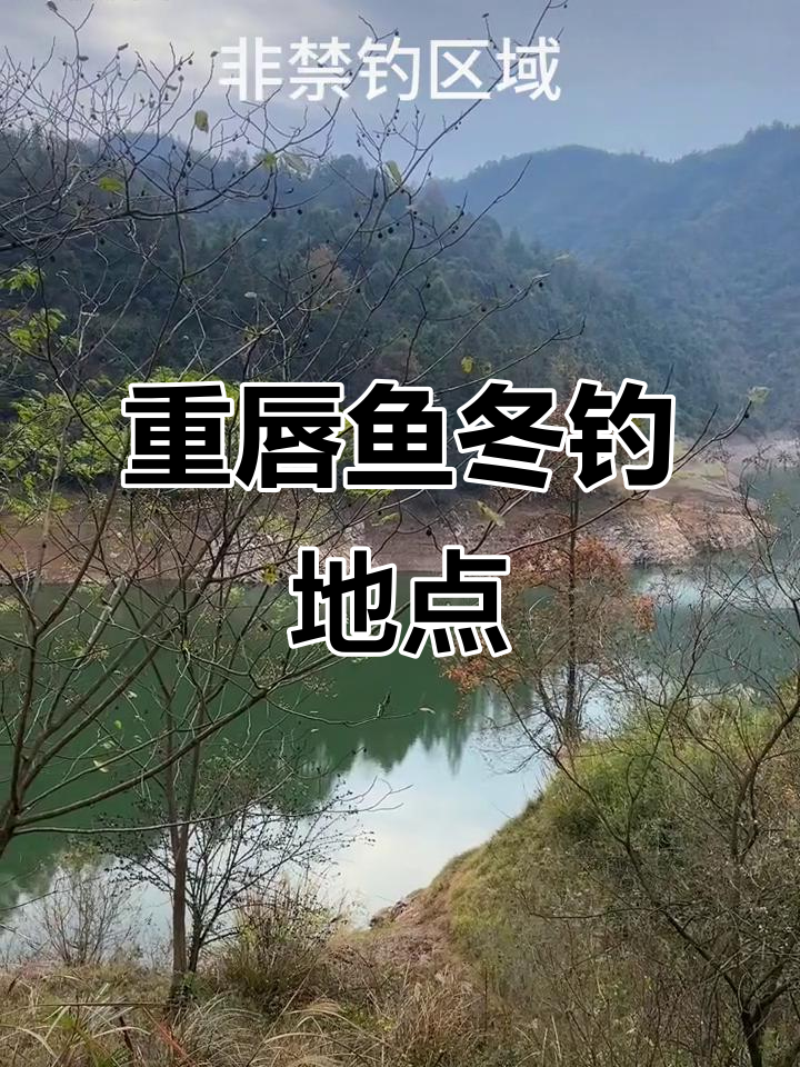 冬季重唇鱼钓位推荐,盐务潭水库等你挑战