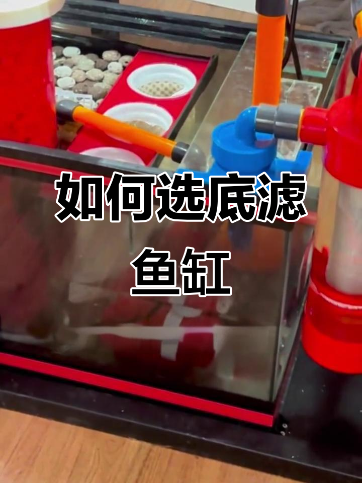 底滤鱼缸选购指南，避免踩坑省下三五千