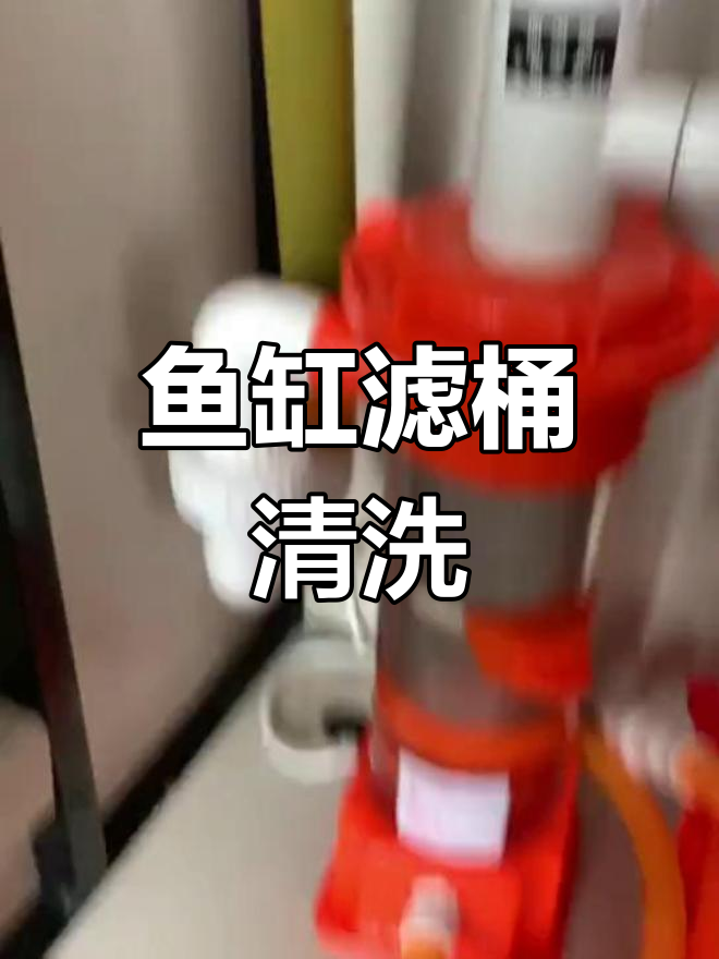 鱼缸过滤系统清洗全攻略