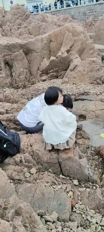 来海边抓小鱼,这体验也太好玩了吧!