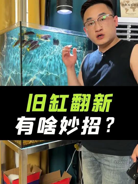 如何把旧鱼缸翻新，简单粗暴，又省钱！