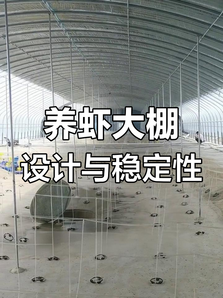18米宽80米长养虾大棚设计及稳固性分析