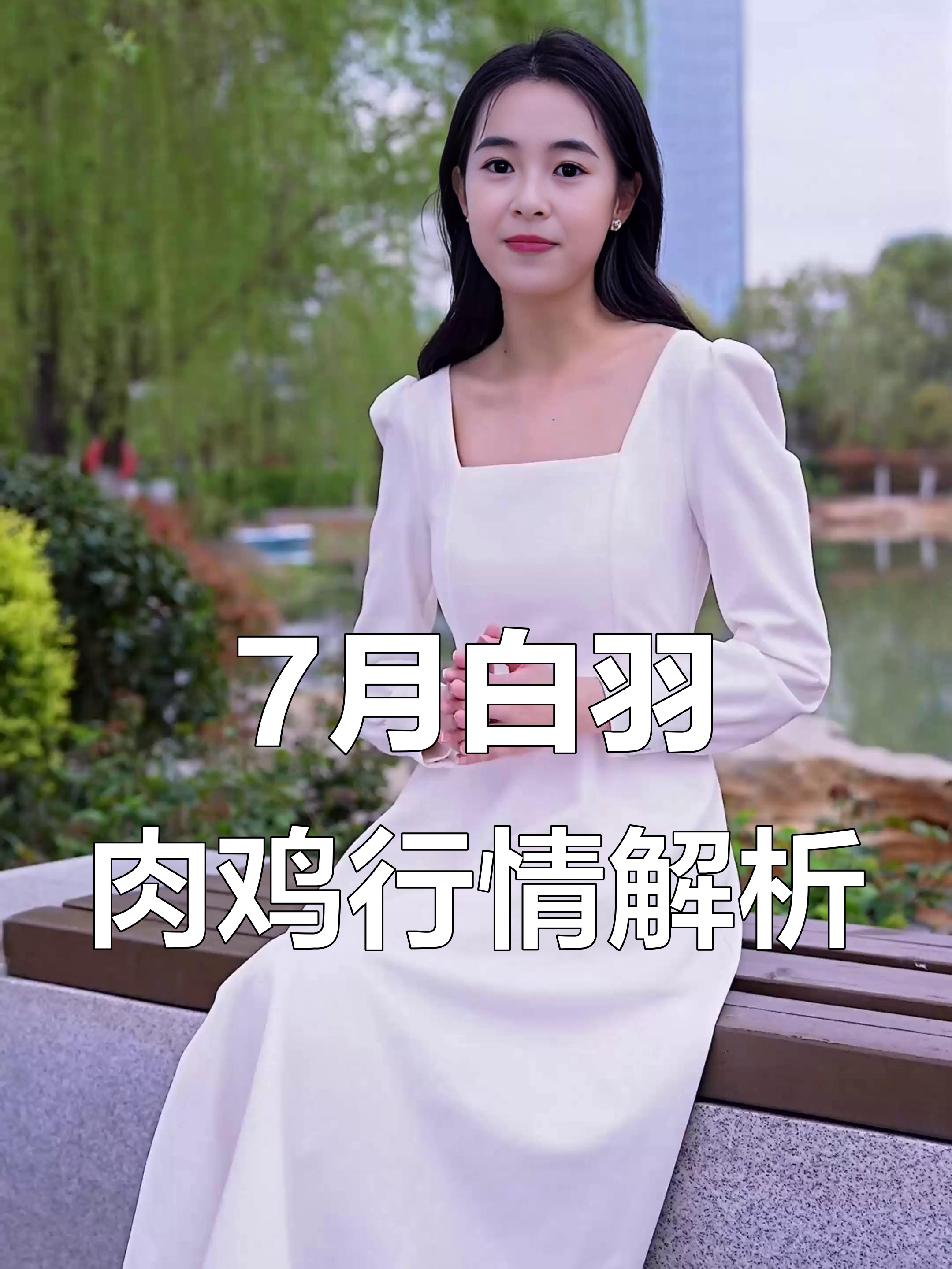 7月16日白羽肉鸡价格波动,屠宰场盈亏边缘应对策