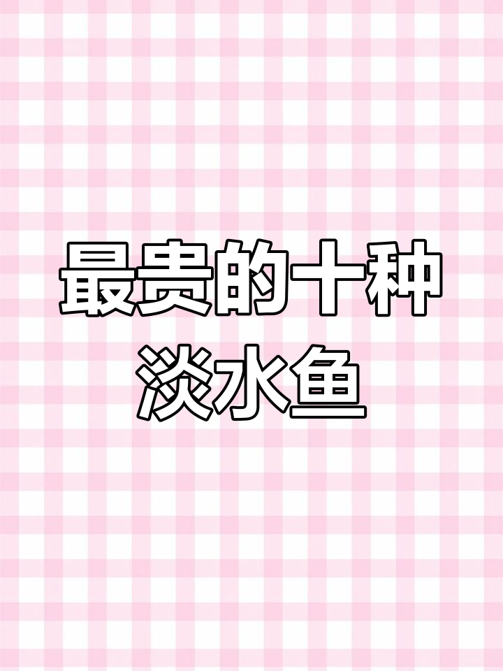 黄河鲤鱼、淮王鱼等十大最贵淡水鱼,价格惊人!