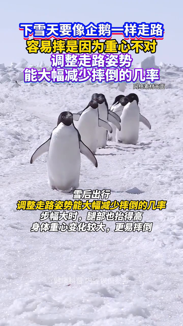 下雪天要像企鹅一样走路,雪天容易摔是因为重心不对