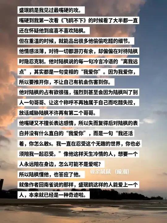 像盛珉鸥这样的人,能爱上一个人本来就是一种奇迹了。小说 飞鸥不下 盛珉鸥 盛珉鸥陆枫 双男