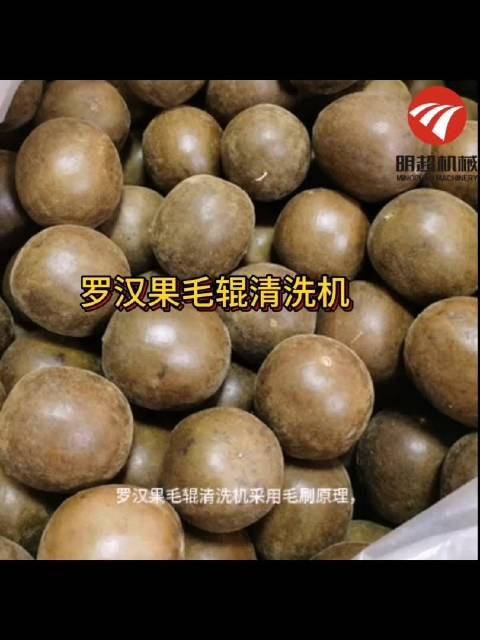 罗汉果毛辊清洗机主要由电机、变速器、毛棍等组成,采用毛刷原理,广泛适用于圆形,椭圆形果蔬比