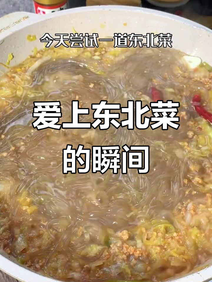 南方人第一次尝试东北酸菜炖粉条,竟然爱上了!