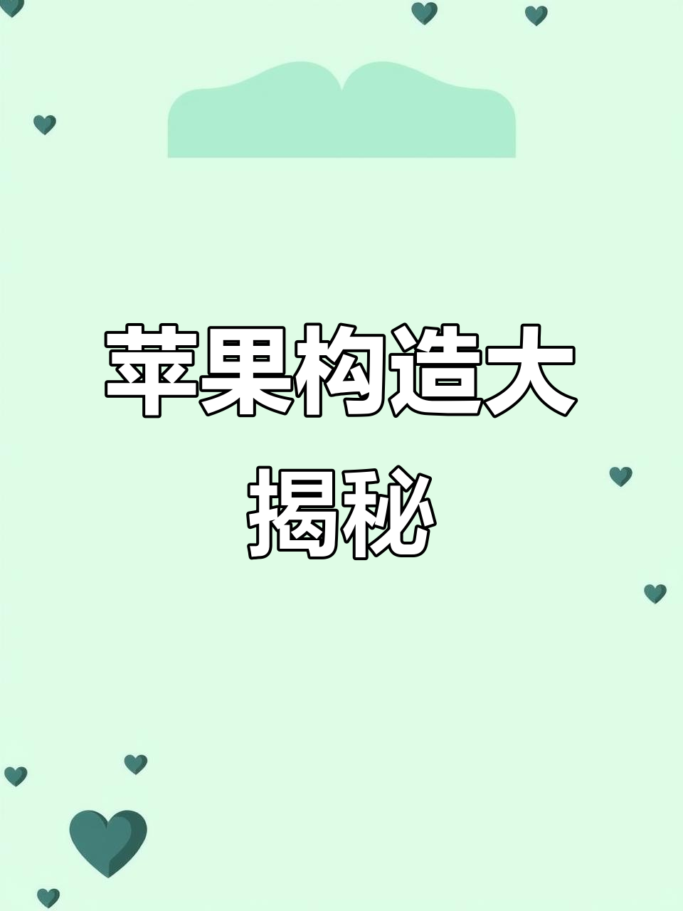 揭秘苹果内部结构,超有趣!