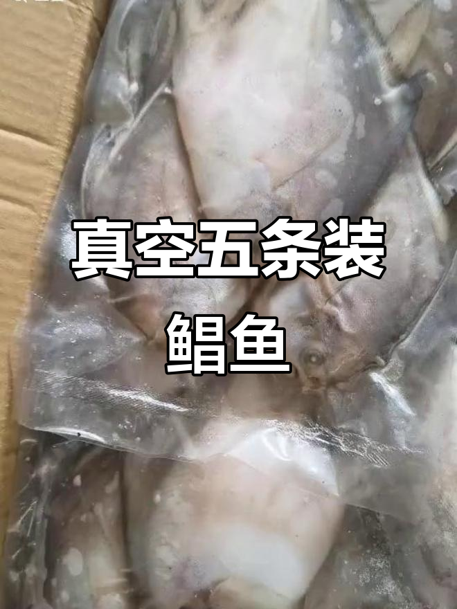 五条装真空包装鲳鱼,净重500克,小船溜网货
