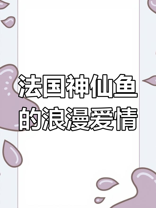 法国神仙鱼:忠贞不渝的爱情守护者