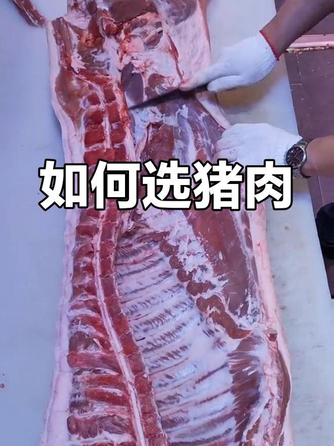 猪肉部位解析:如何挑选最合适的肉