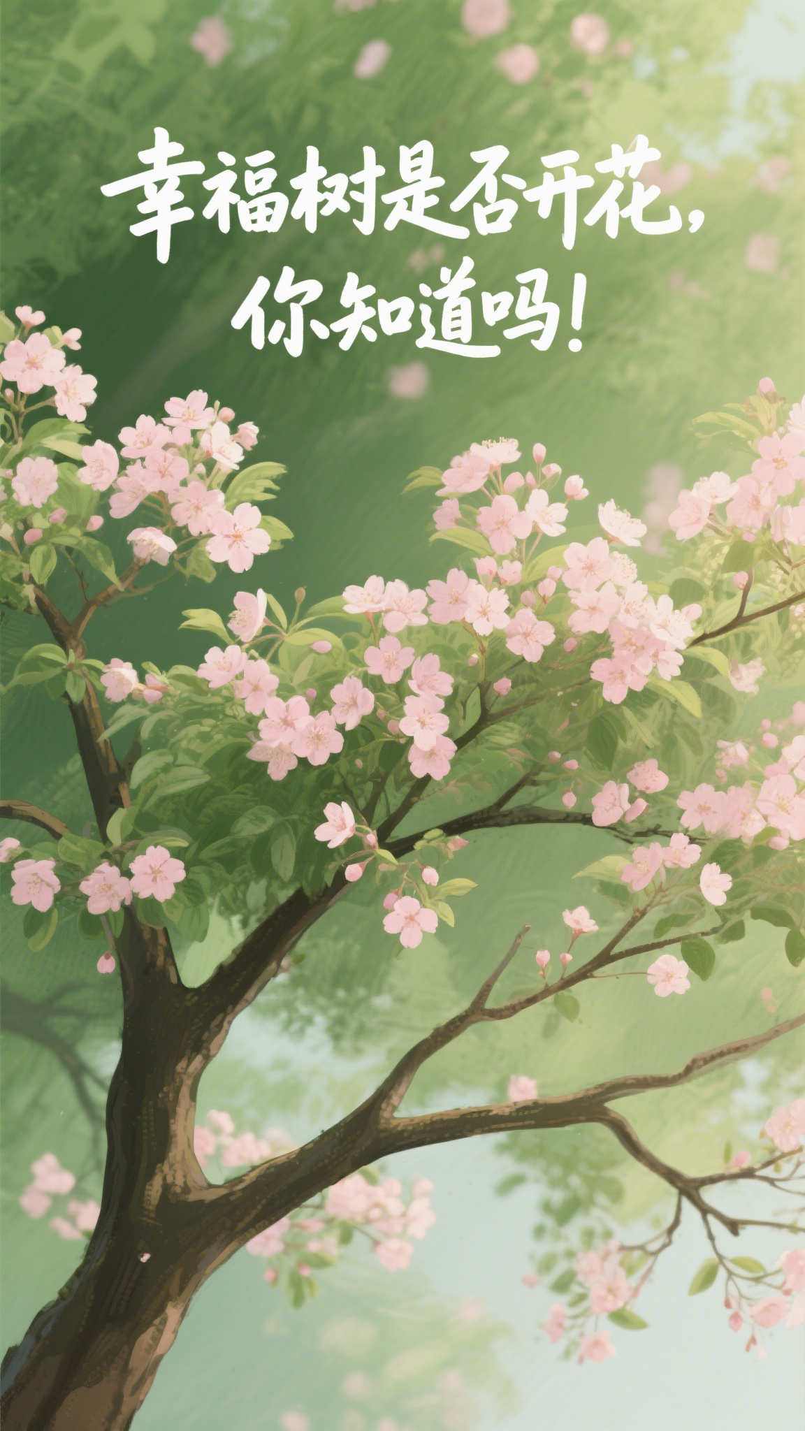 幸福树是否开花,你知道吗