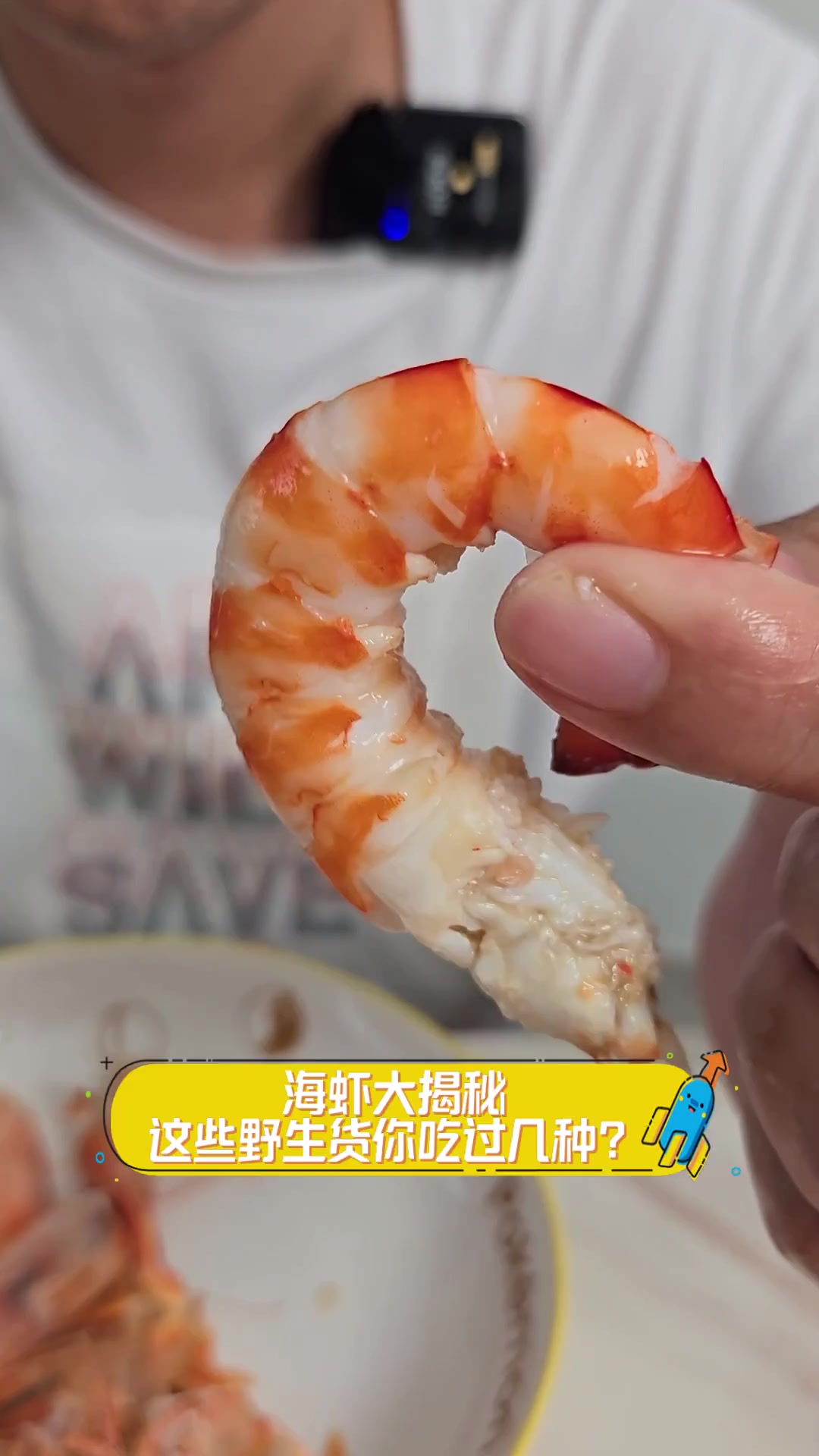 海虾大揭秘,这些野生货你吃过几种?