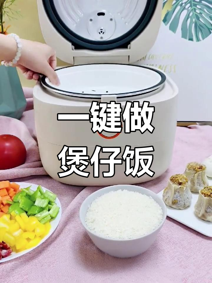 九阳智能电饭煲多功能使用指南