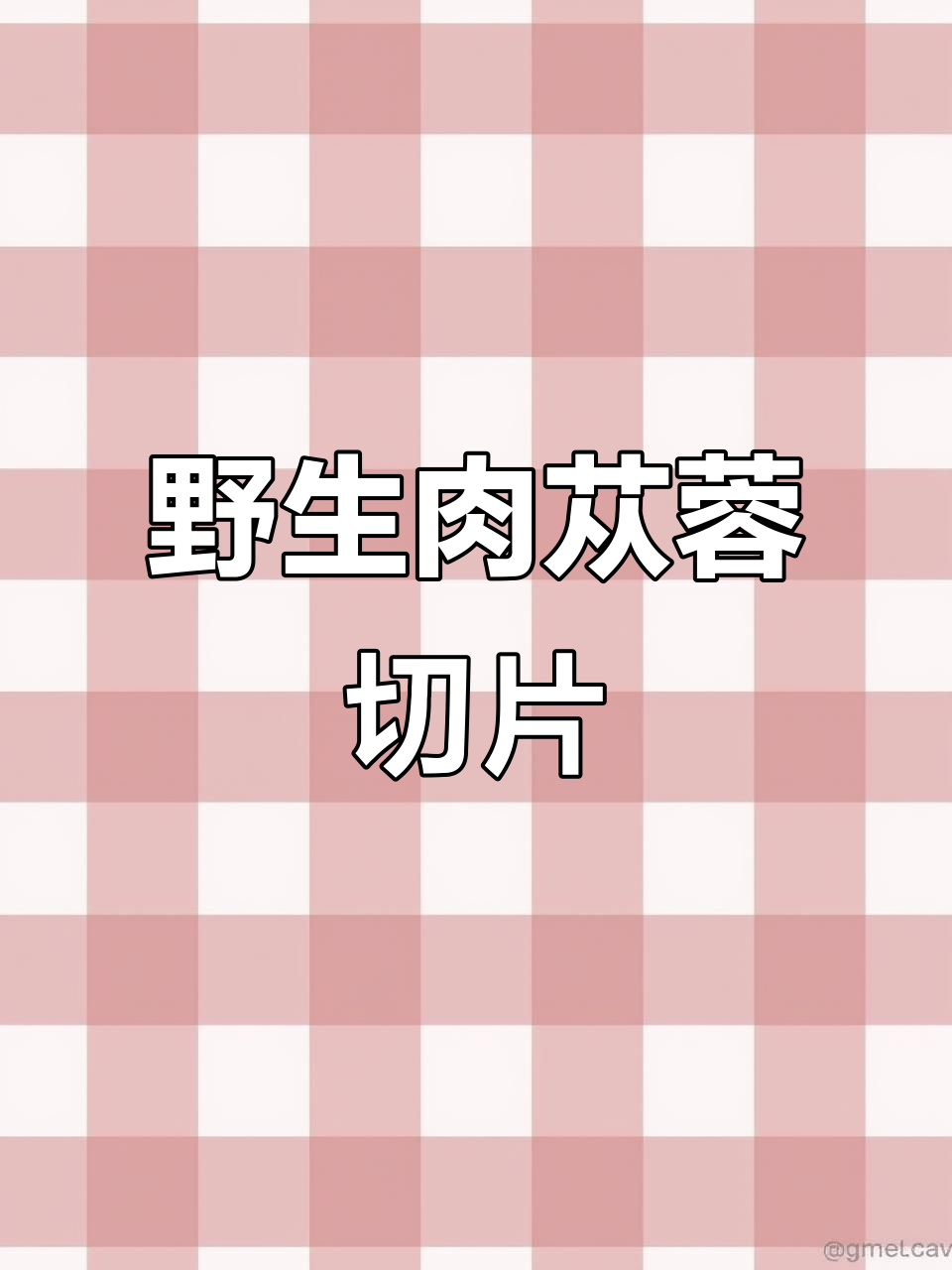 野生肉苁蓉切片展示,焦糖色与油脂丰富